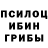 Псилоцибиновые грибы Magic Shrooms Kayleam Ransey