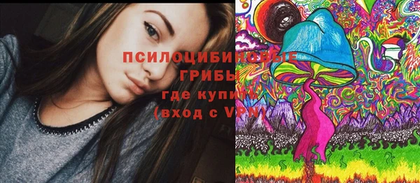 дживик Бородино