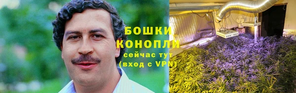 первитин Богородицк