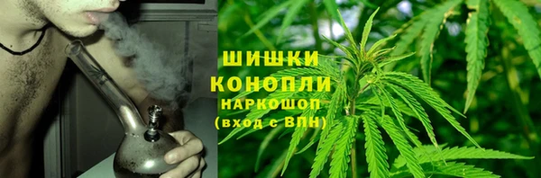 дурь Богородск